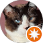 Un primer plano de la cara de un gato en un círculo con una estrella naranja.