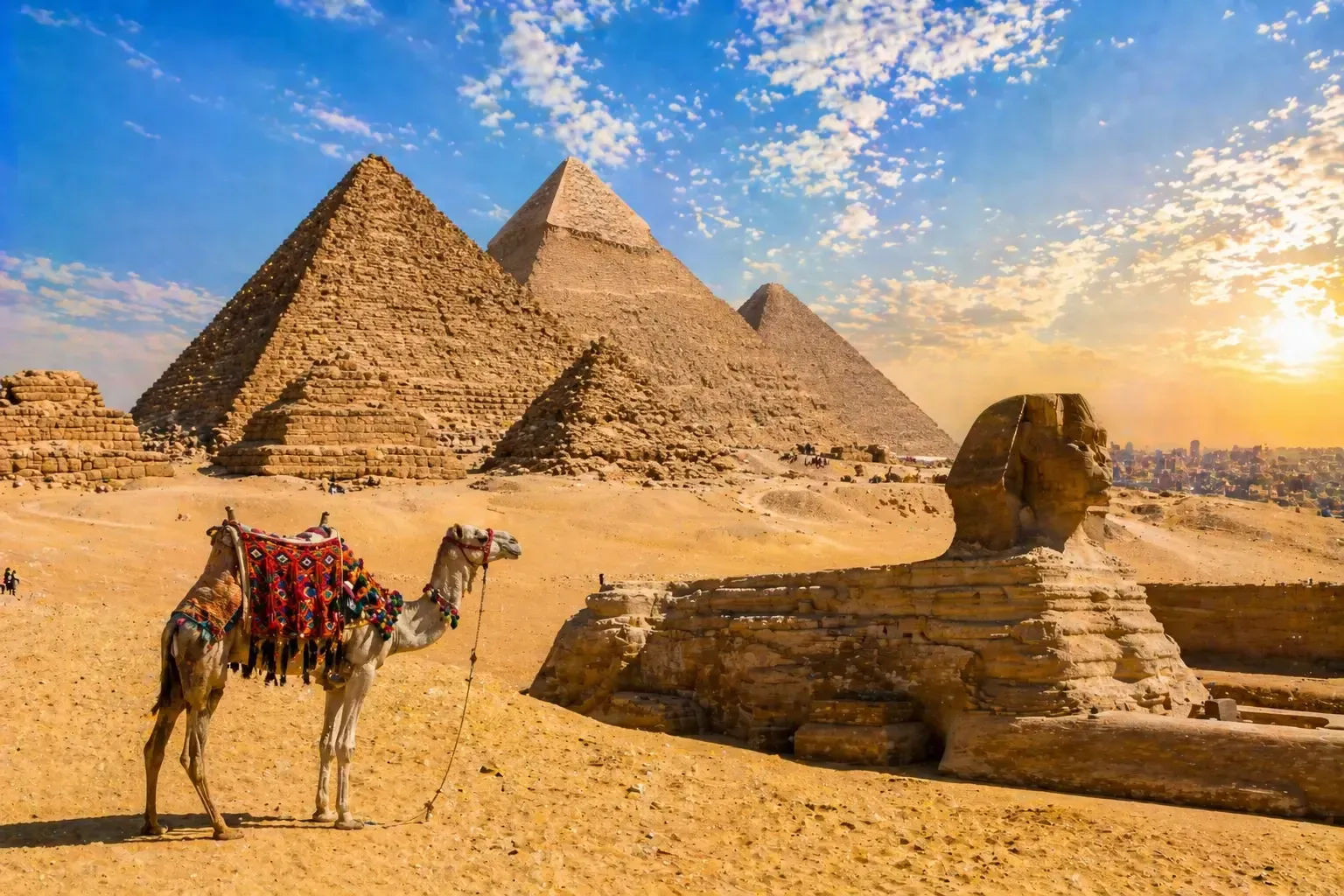 Un camello frente a la Esfinge y las pirámides al atardecer en el desierto egipcio.