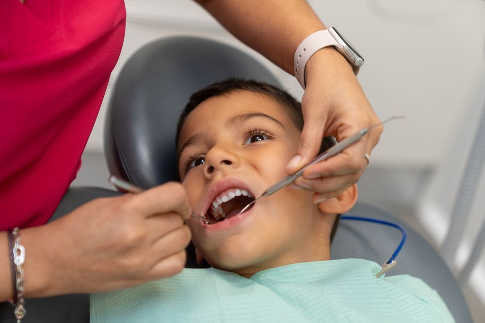 Un primer plano de una hoja de palmera que parece un abanico.