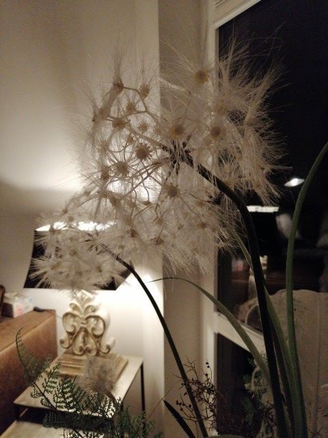 Pusteblumendekoration