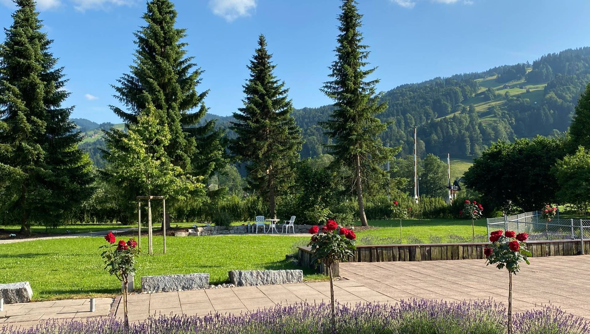 Ein üppig grüner Park mit hohen Bäumen, roten Rosen und Bergen im Hintergrund unter klarem, blauem Himmel.