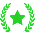 Icon Stern
