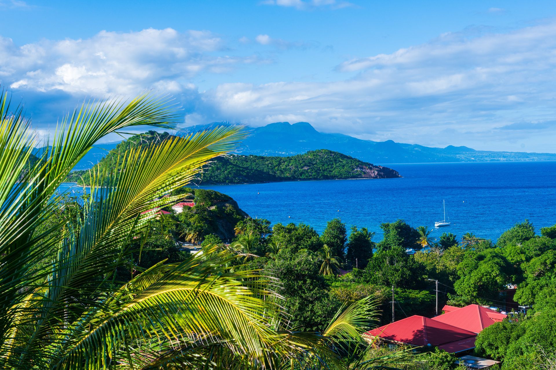 Vue côtière tropicale avec océan bleu, île verdoyante, palmes et bâtiments aux toits rouges sous un ciel lumineux