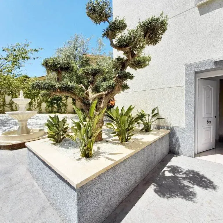 Exterior de un edificio blanco con un olivo, plantas ave del paraíso y una fuente en un día soleado.