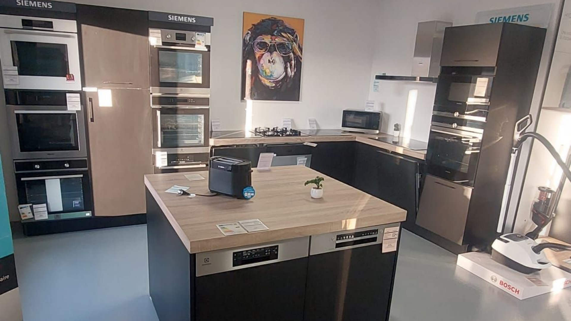 Salle d'exposition d'électroménager de cuisine avec fours, lave-vaisselle, îlot central et œuvres d'art au mur.