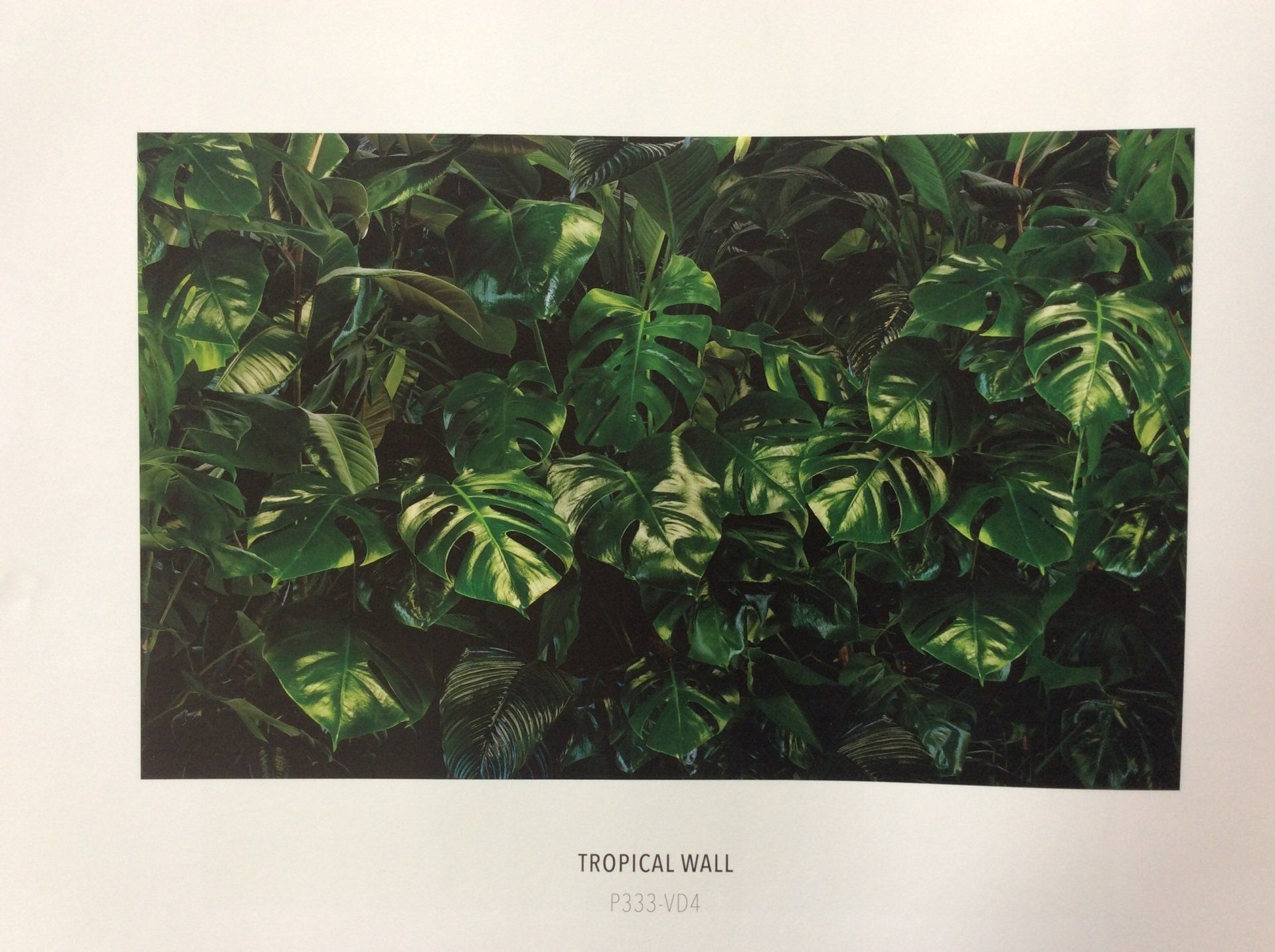 Papier peint panoramique feuillage