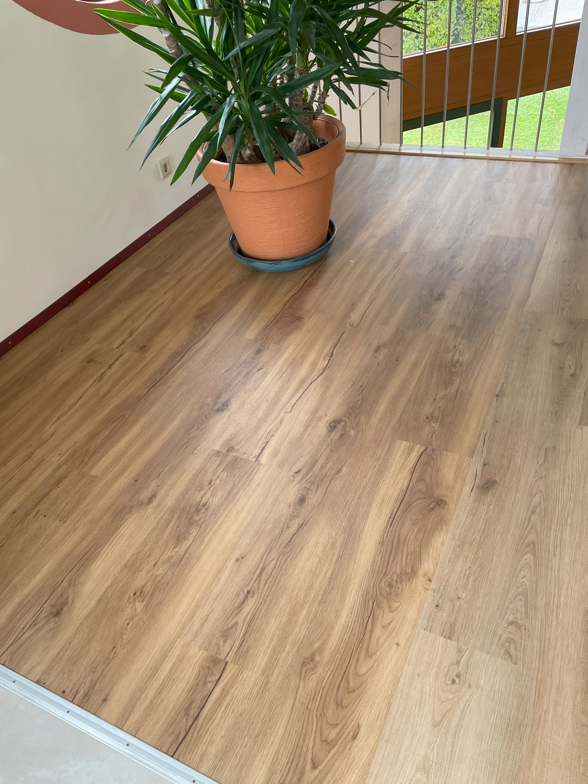 Holzboden mit einer Topfpflanze in der Nähe eines Balkons.