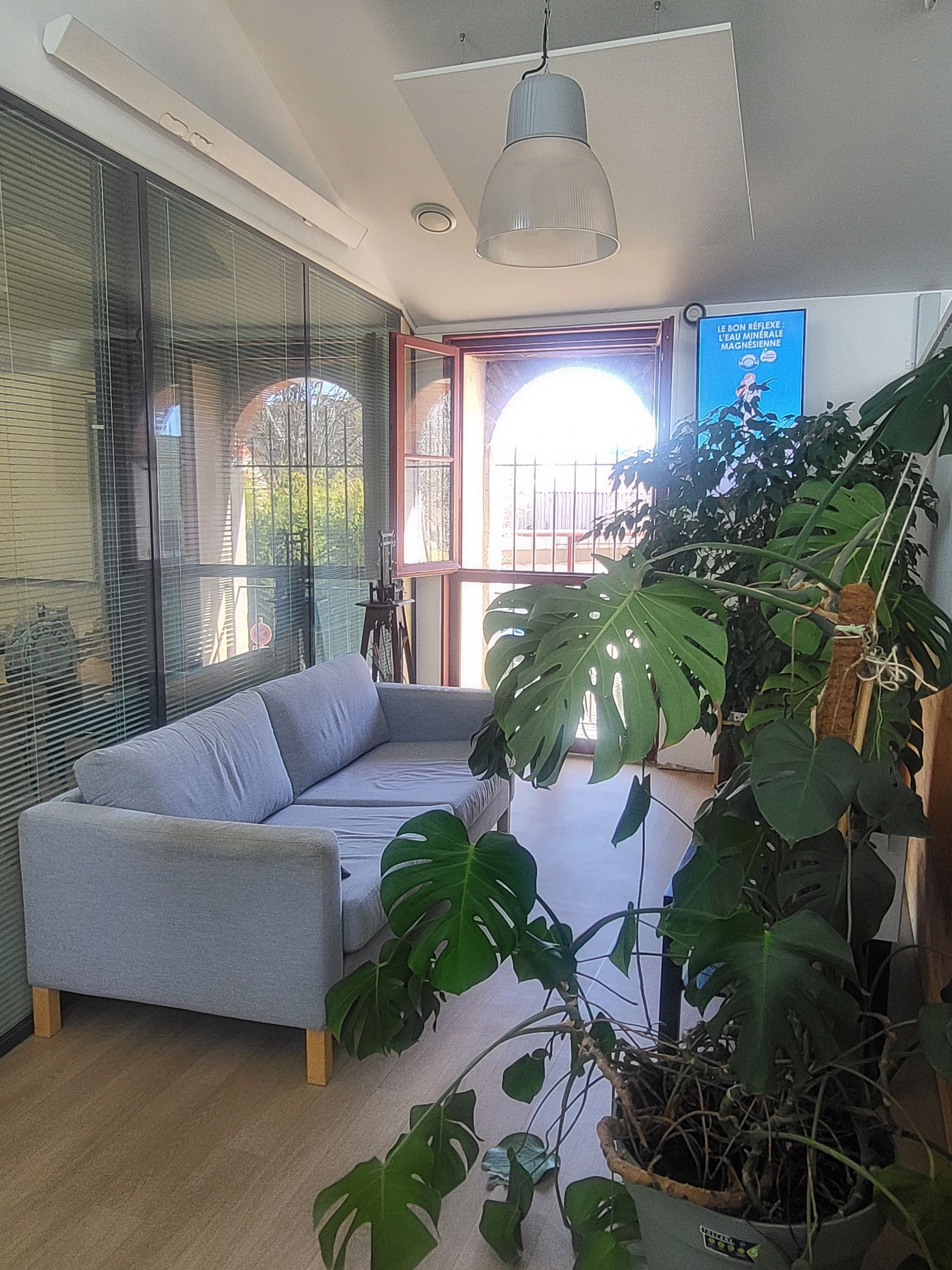 Un canapé gris clair est placé près d'une grande plante dans une pièce baignée de soleil, avec une porte et une suspension lumineuse au plafond.