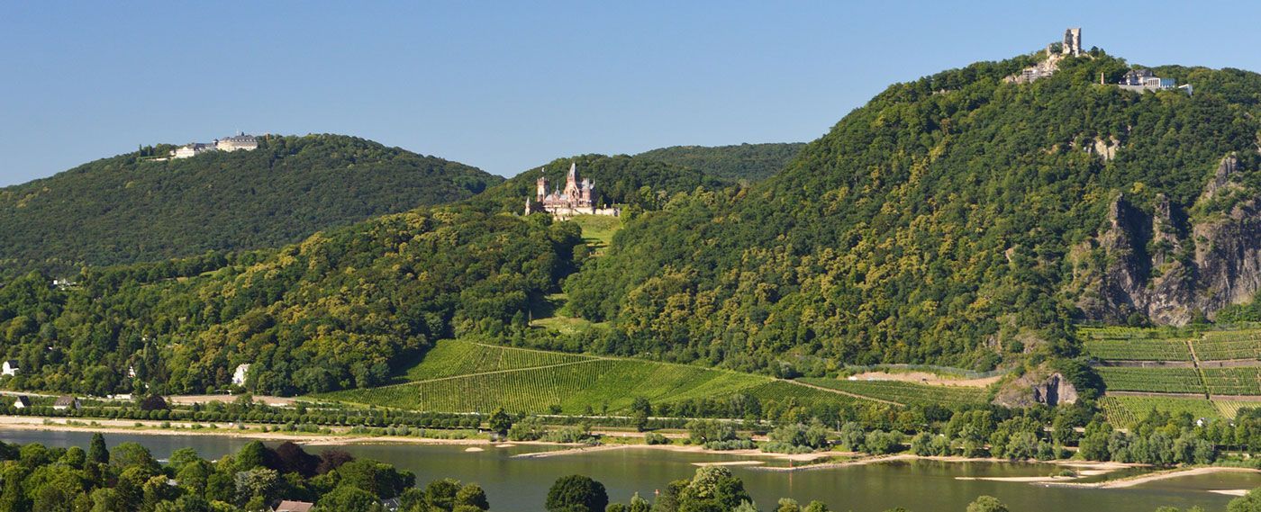 Eine Burg liegt auf einem Hügel mit Blick auf einen Fluss