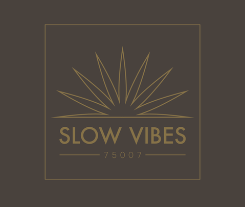 Logo Slow Vibes Studio