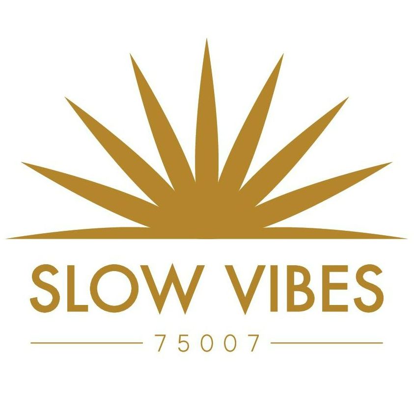 Logo Slow Vibes Studio Logo Slow Vibes Studio