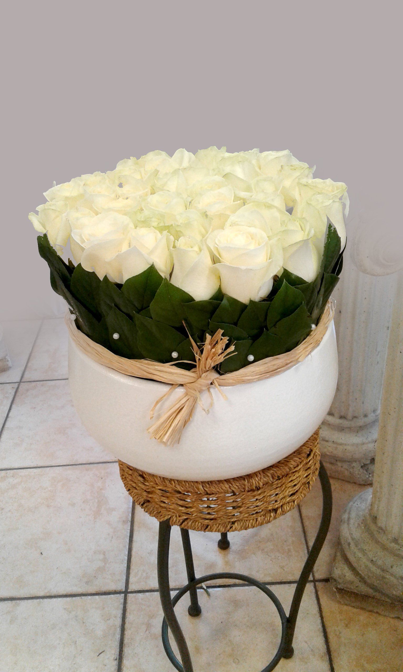 Roses blanches