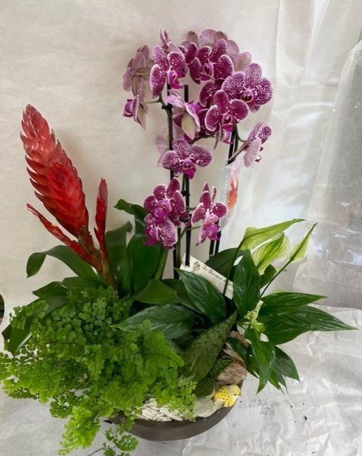 Composition en hauteur avec orchidée rose