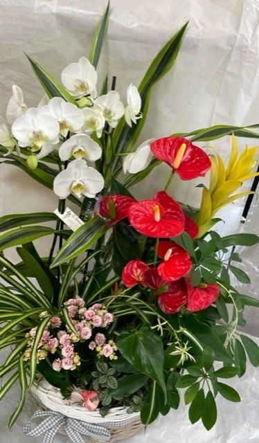 Composition en hauteur avec orchidée blanche