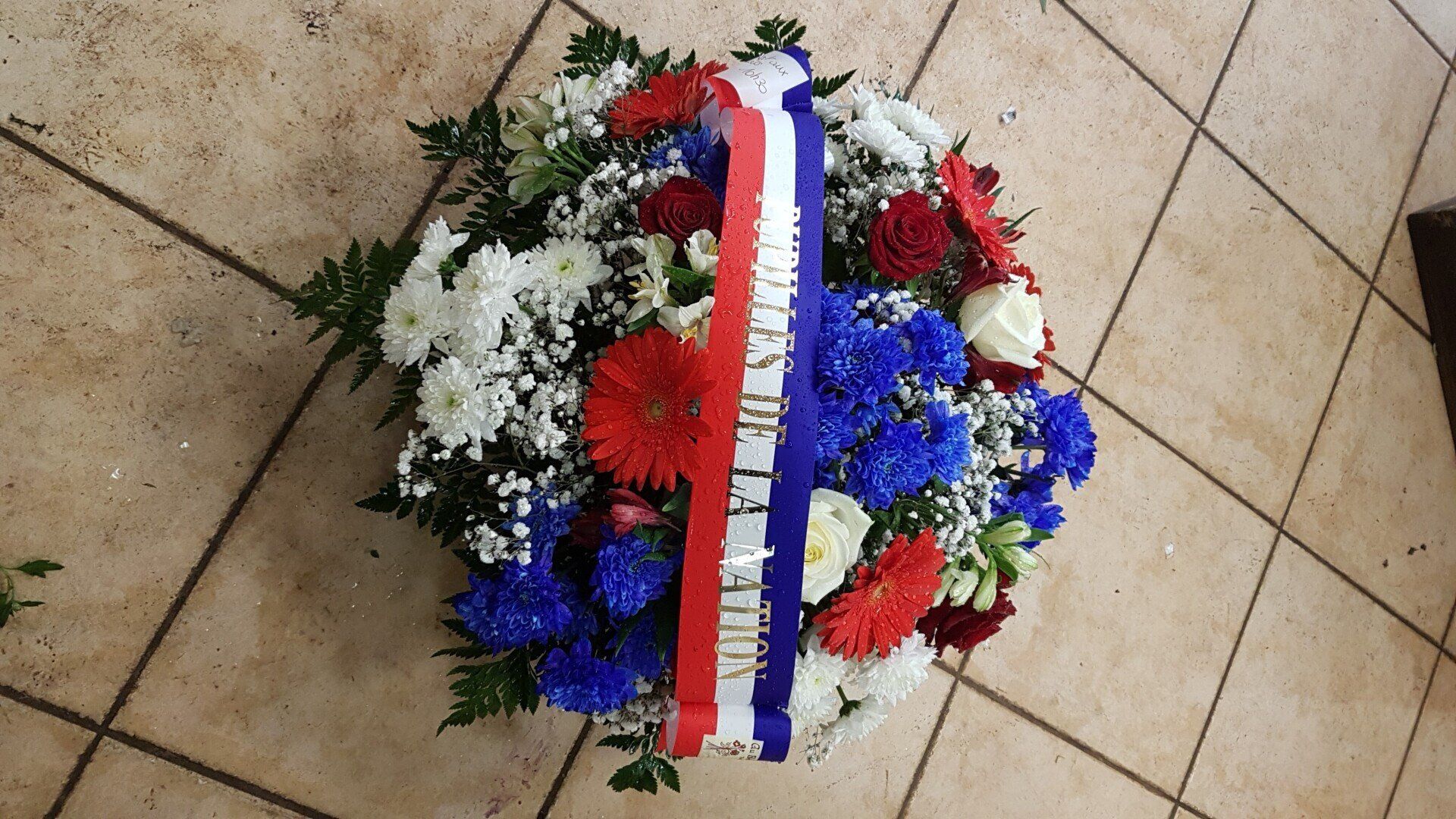 Coussin couleurs bleu blanc rouge