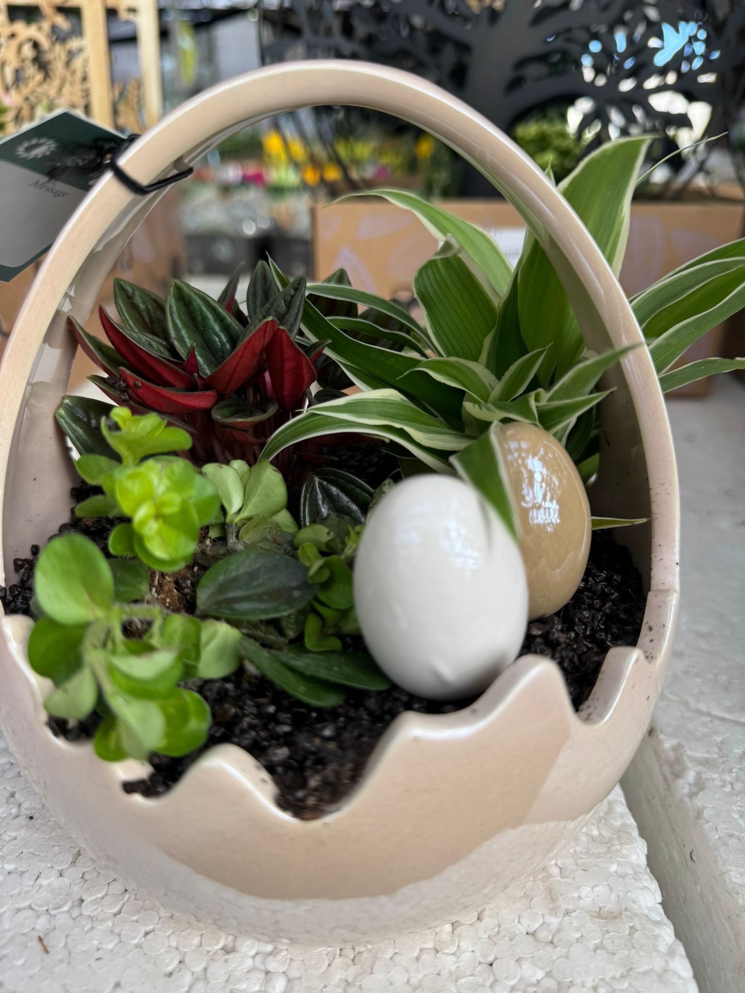 Un estante de madera lleno de plantas en macetas y libros.