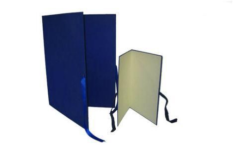 Dos carpetas azules con una cinta azul sobre un fondo blanco