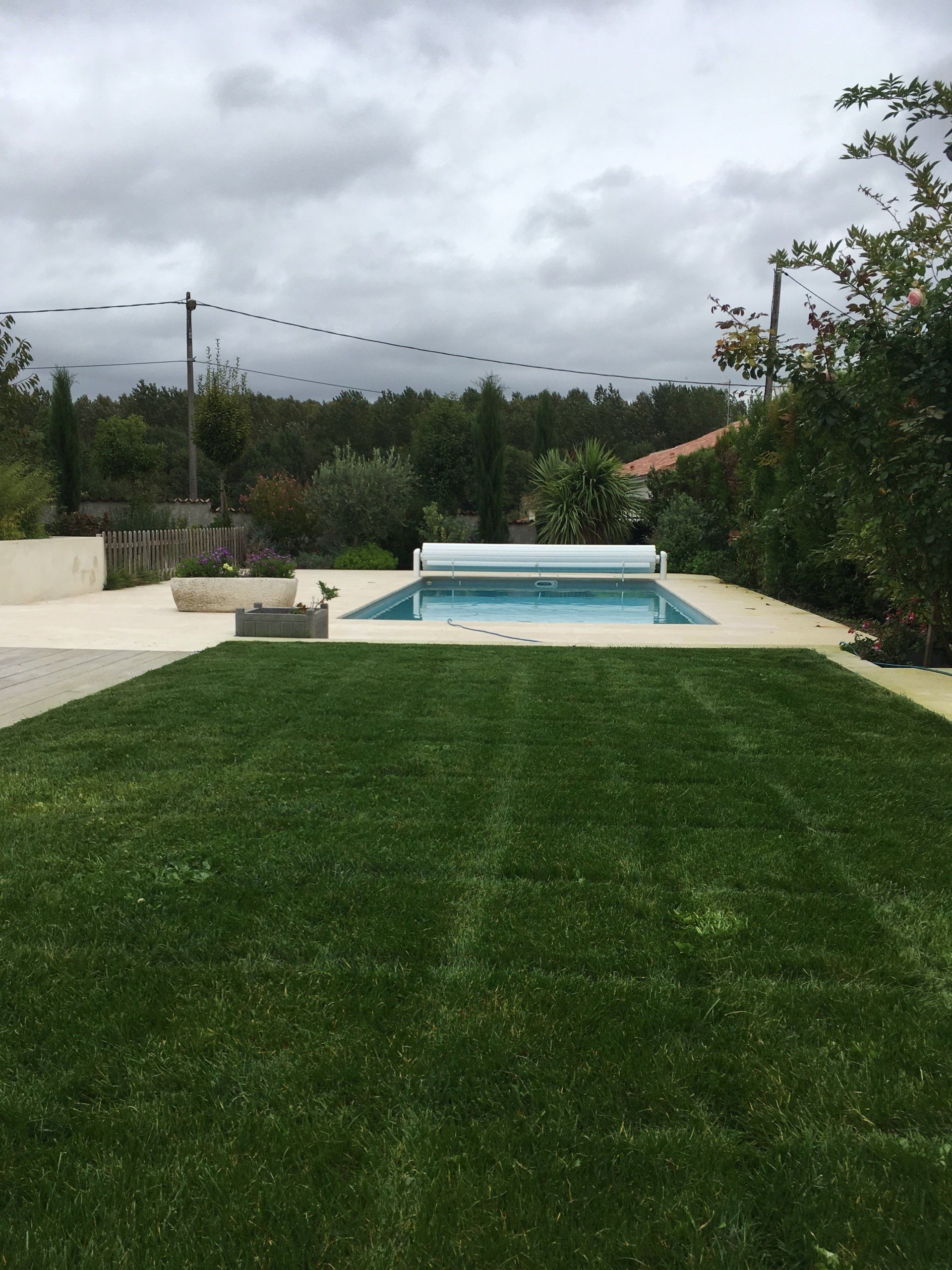 Pelouse devant piscine