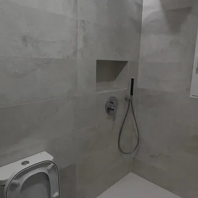 Hay un inodoro y una ducha en el baño.