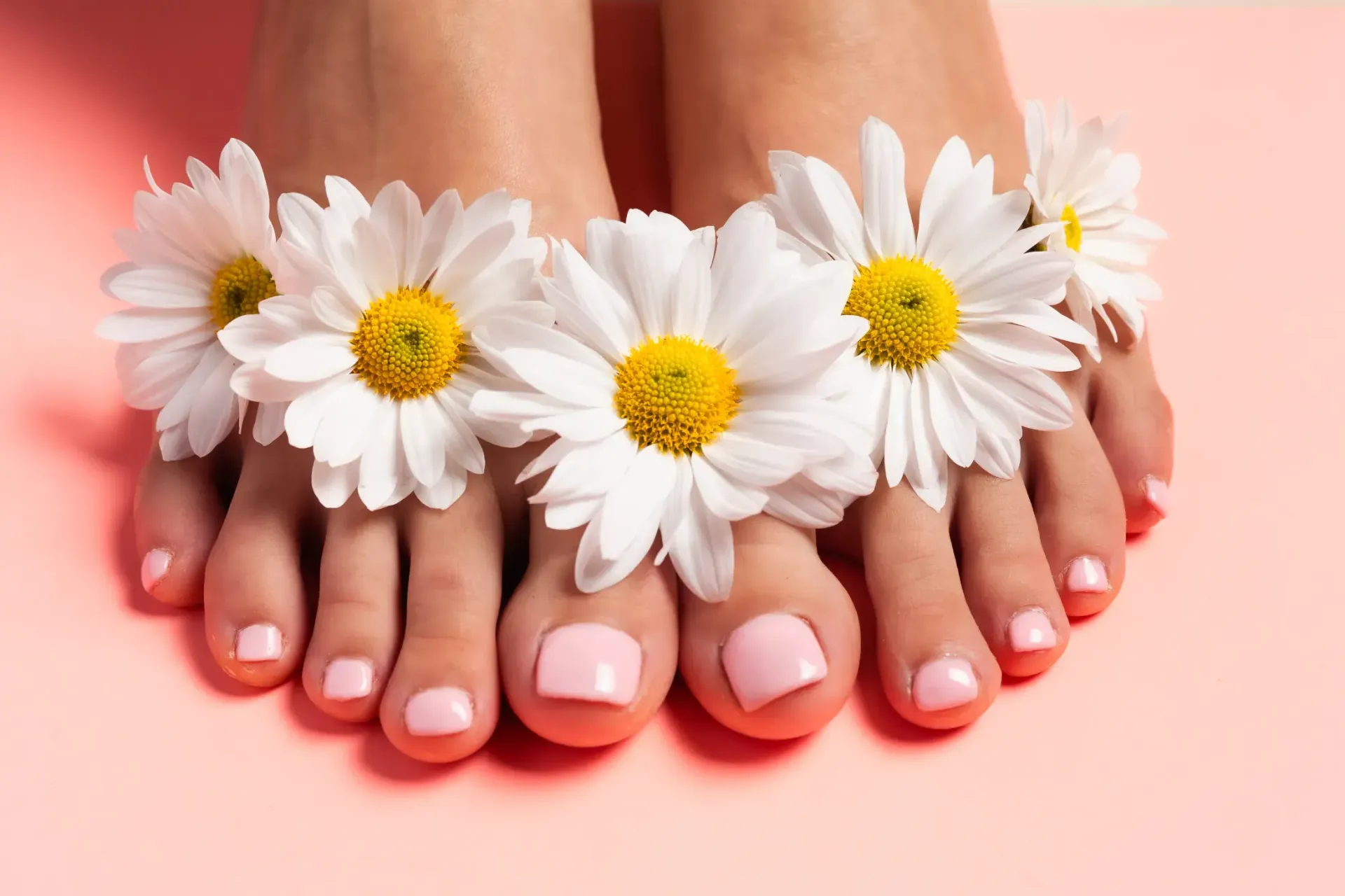 Los pies de una mujer con margaritas sobre un fondo rosa.