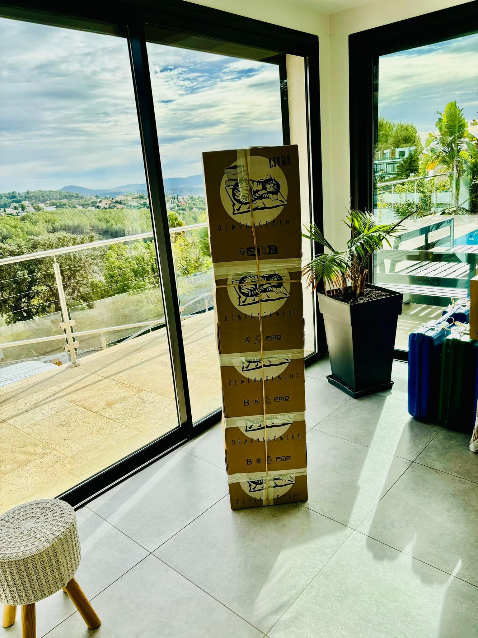 Grand carton rectangulaire à la verticale dans une maison avec une vue sur la nature.