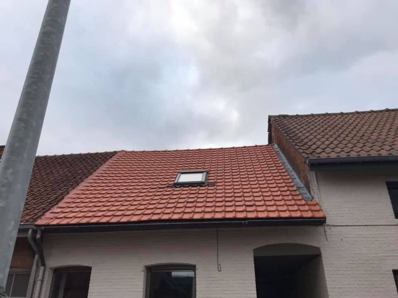 Detailopname van een dak.