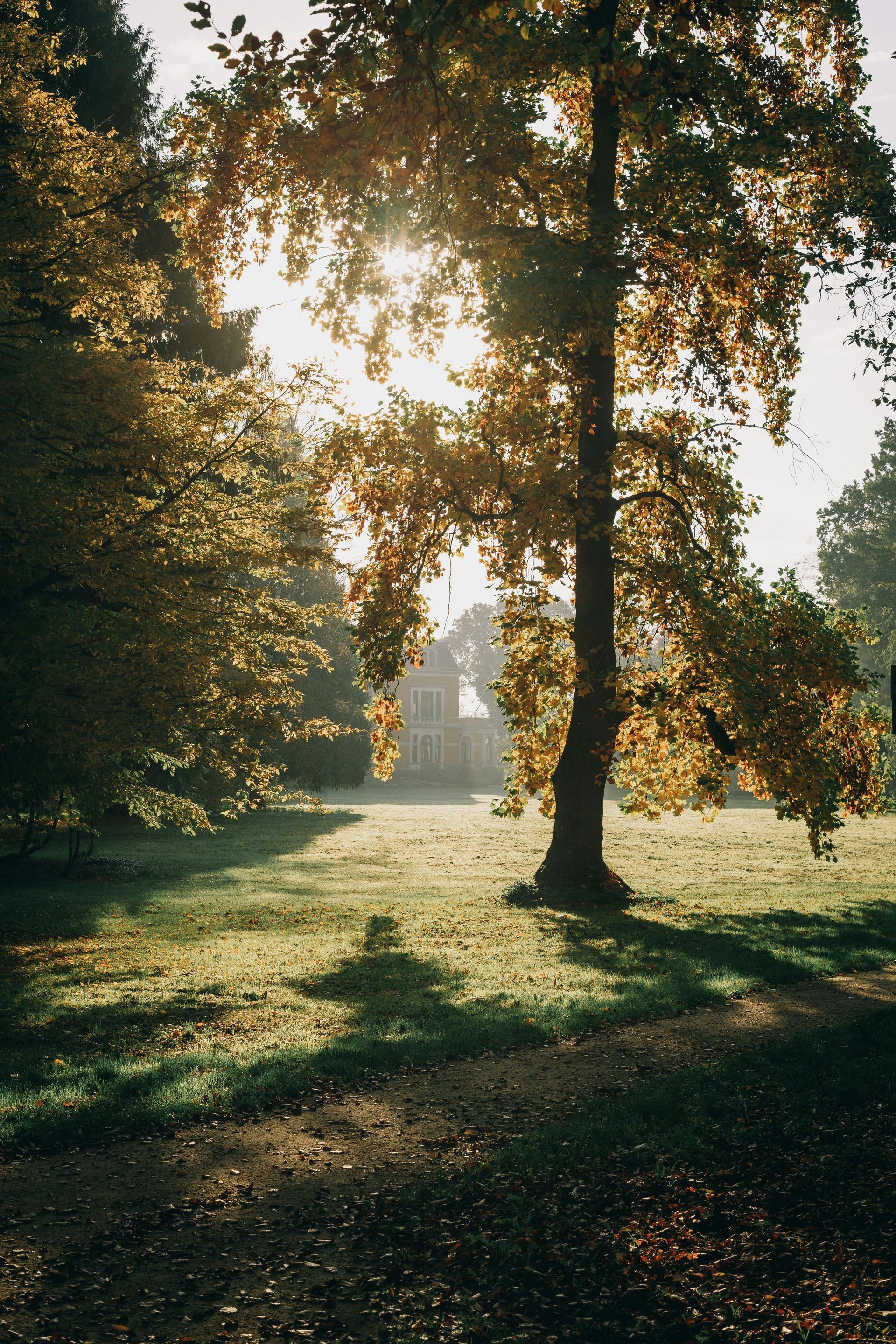 Die Sonne scheint durch die Bäume in einem Park.