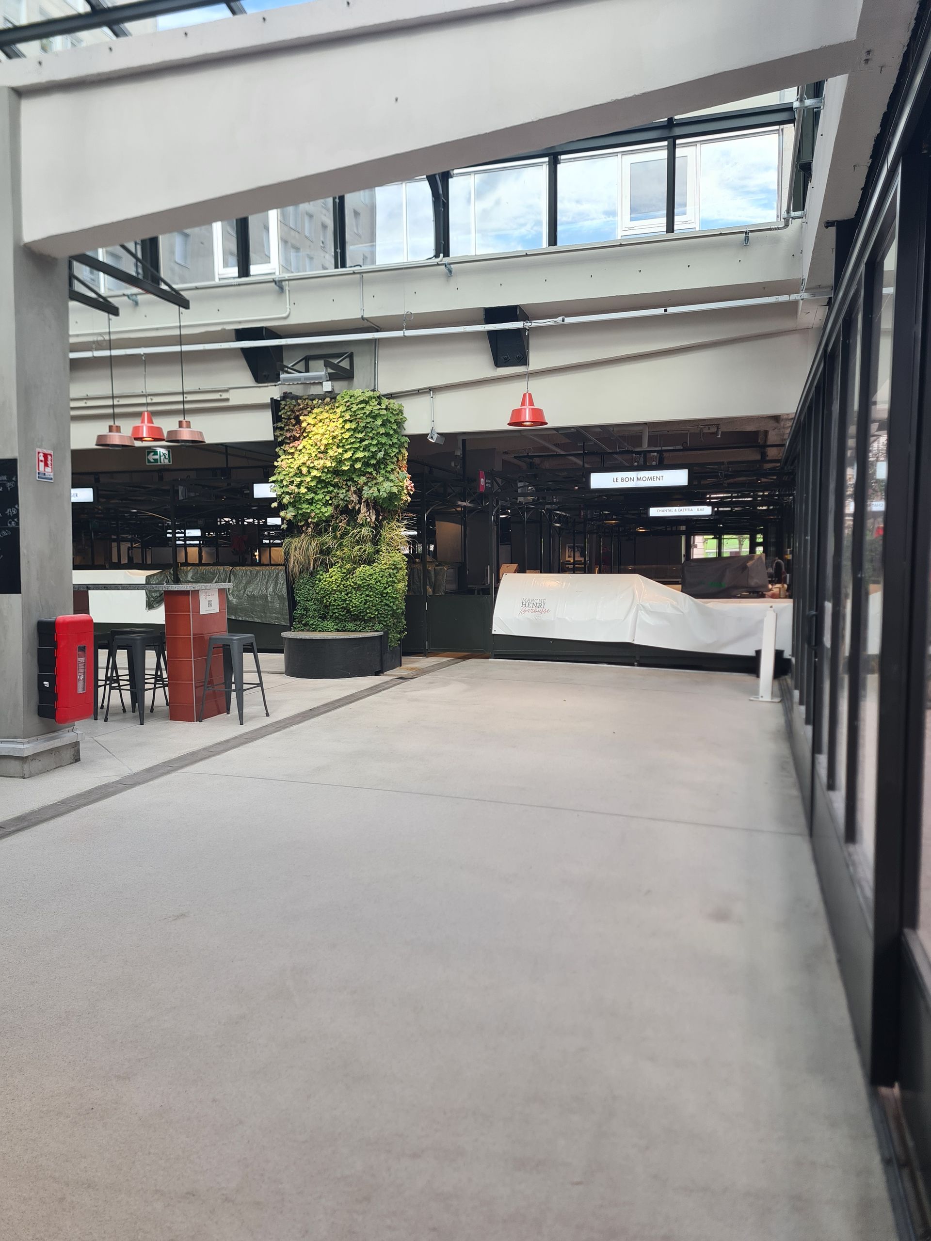 Hall avec une plante