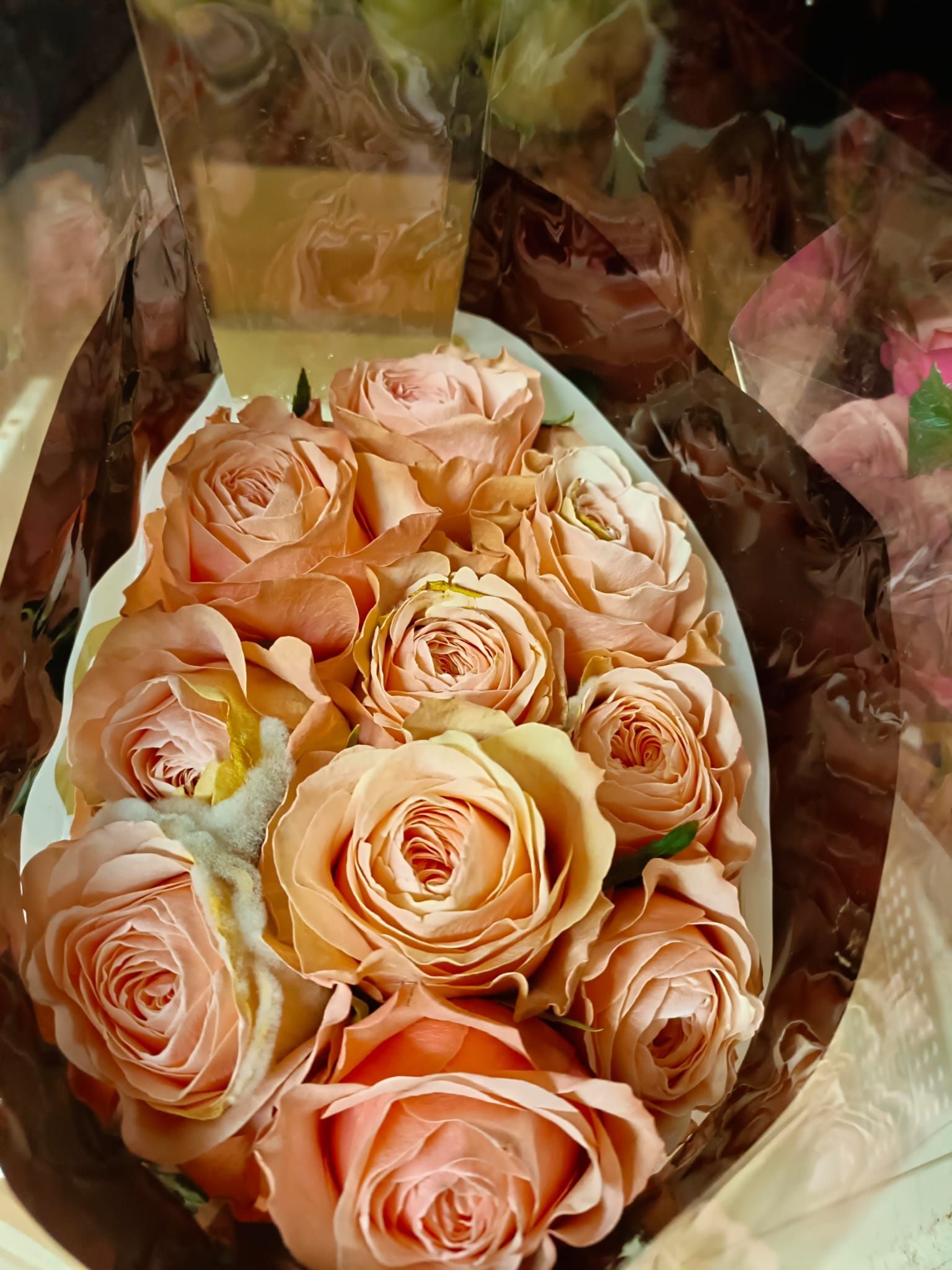 Un ramo de rosas rosadas está envuelto en papel marrón.