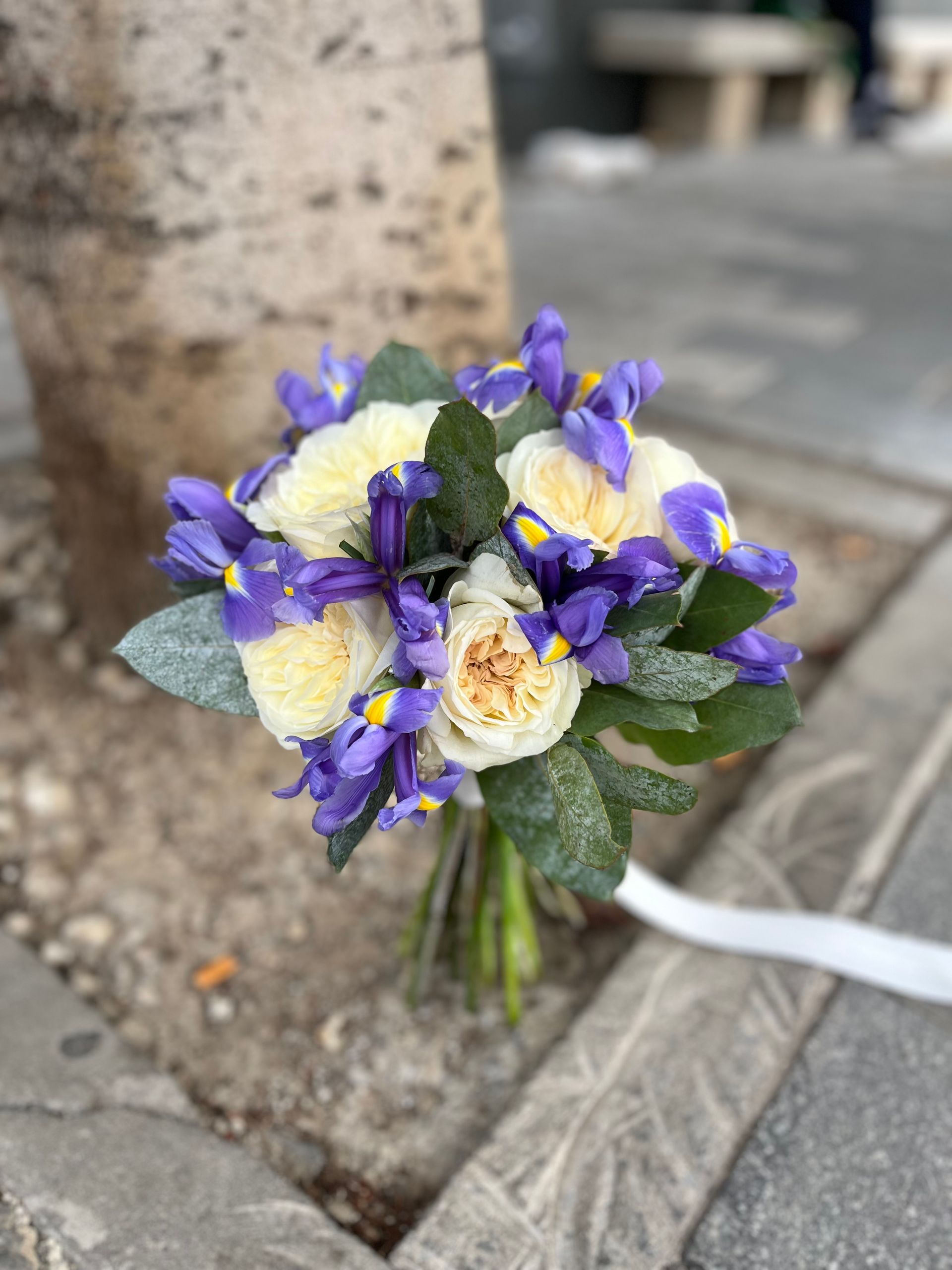 Un ramo de flores moradas y blancas está en el suelo junto a un árbol.