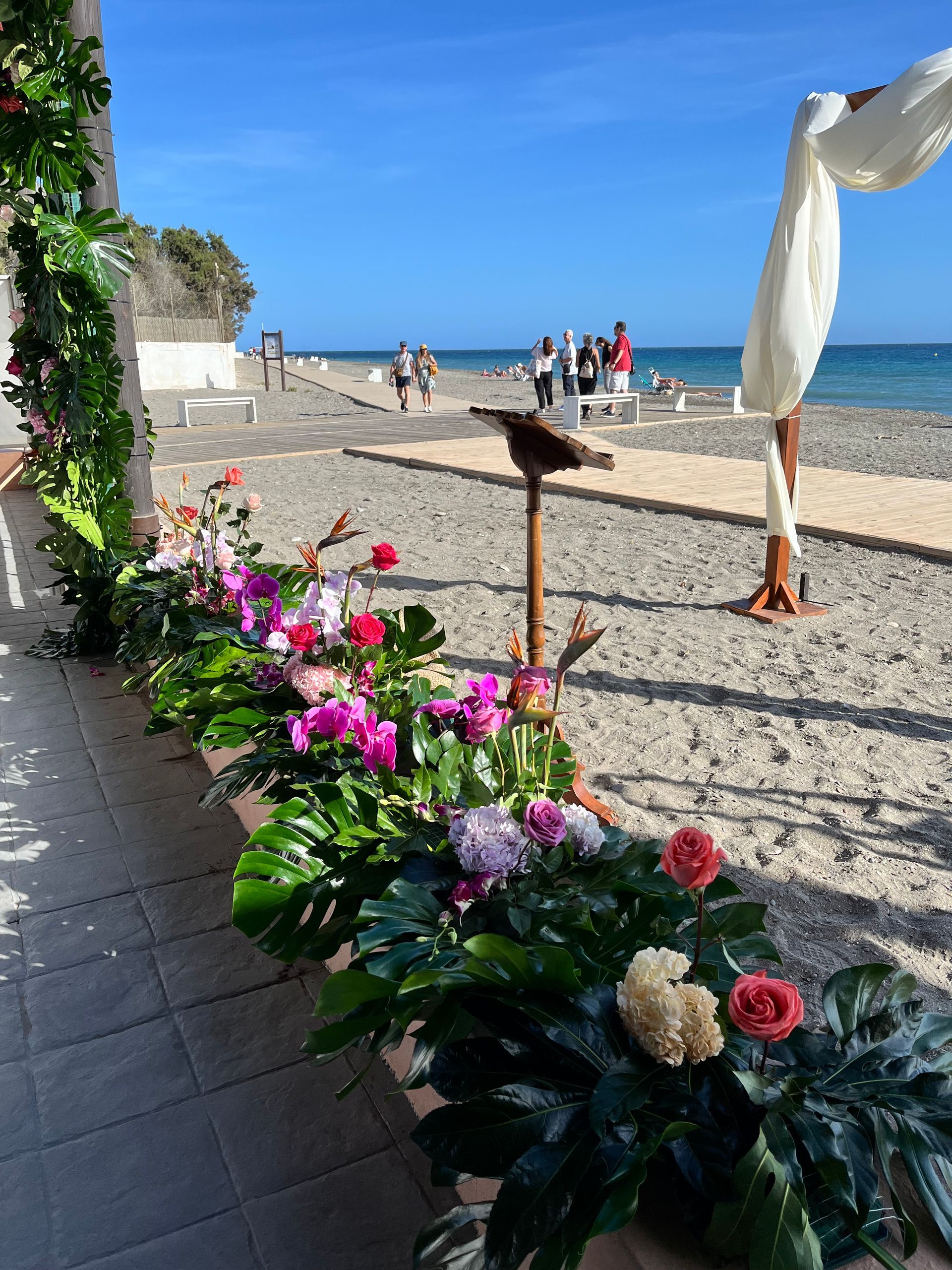 Una hilera de flores están alineadas al costado de una playa.