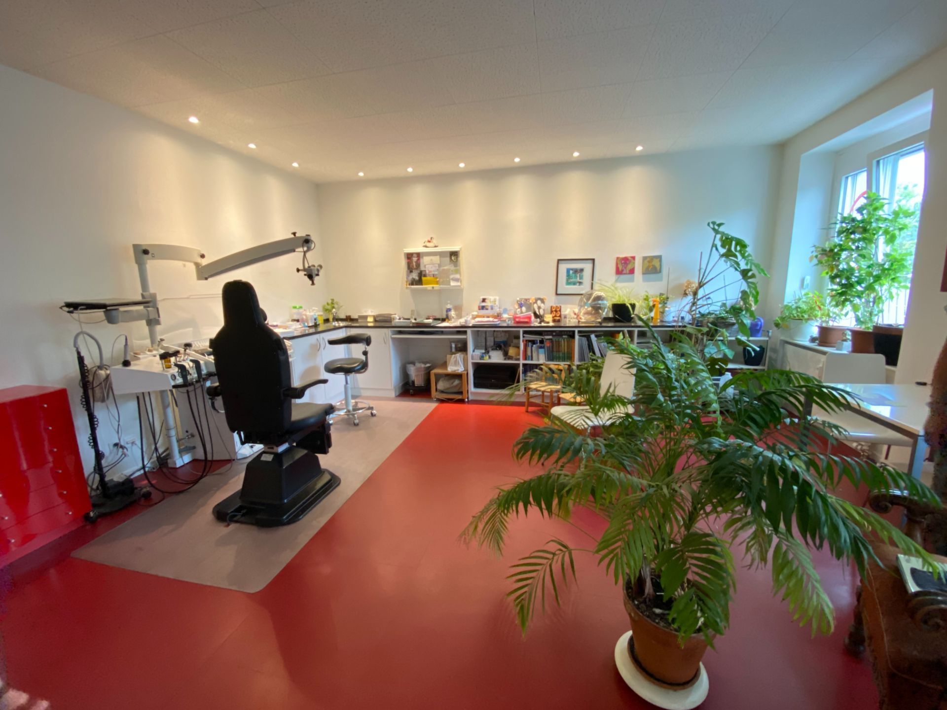 Dr. med. Christina Leimbacher