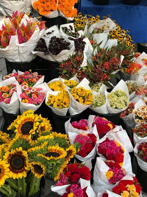 Eco Flores - Algarve