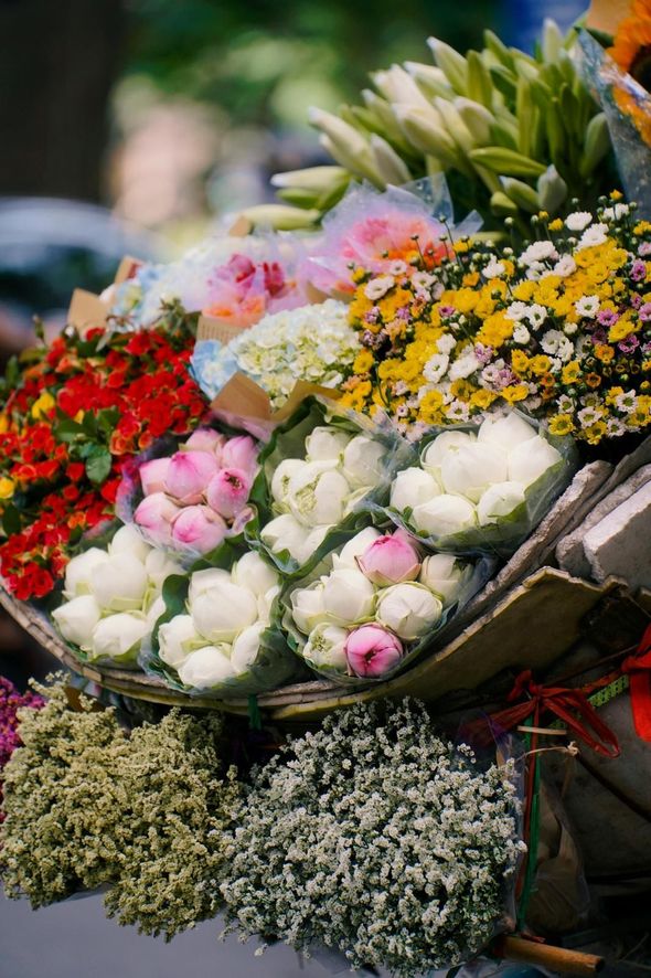 Eco Flores - Algarve