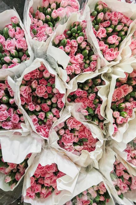 Eco Flores
