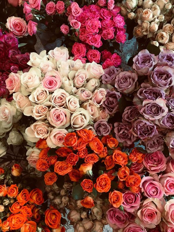 Eco Flores - Algarve