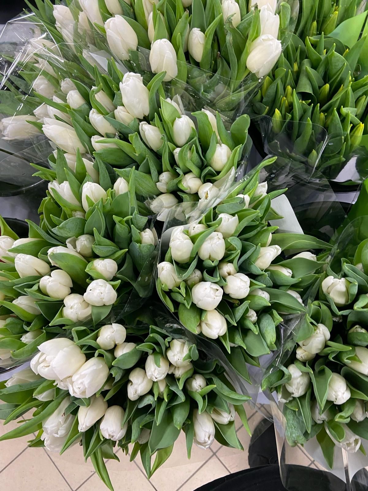 Sapatos de noiva brancos e um buquê de rosas cor-de-rosa sobre um piso de madeira, com um fundo de tecido drapeado.