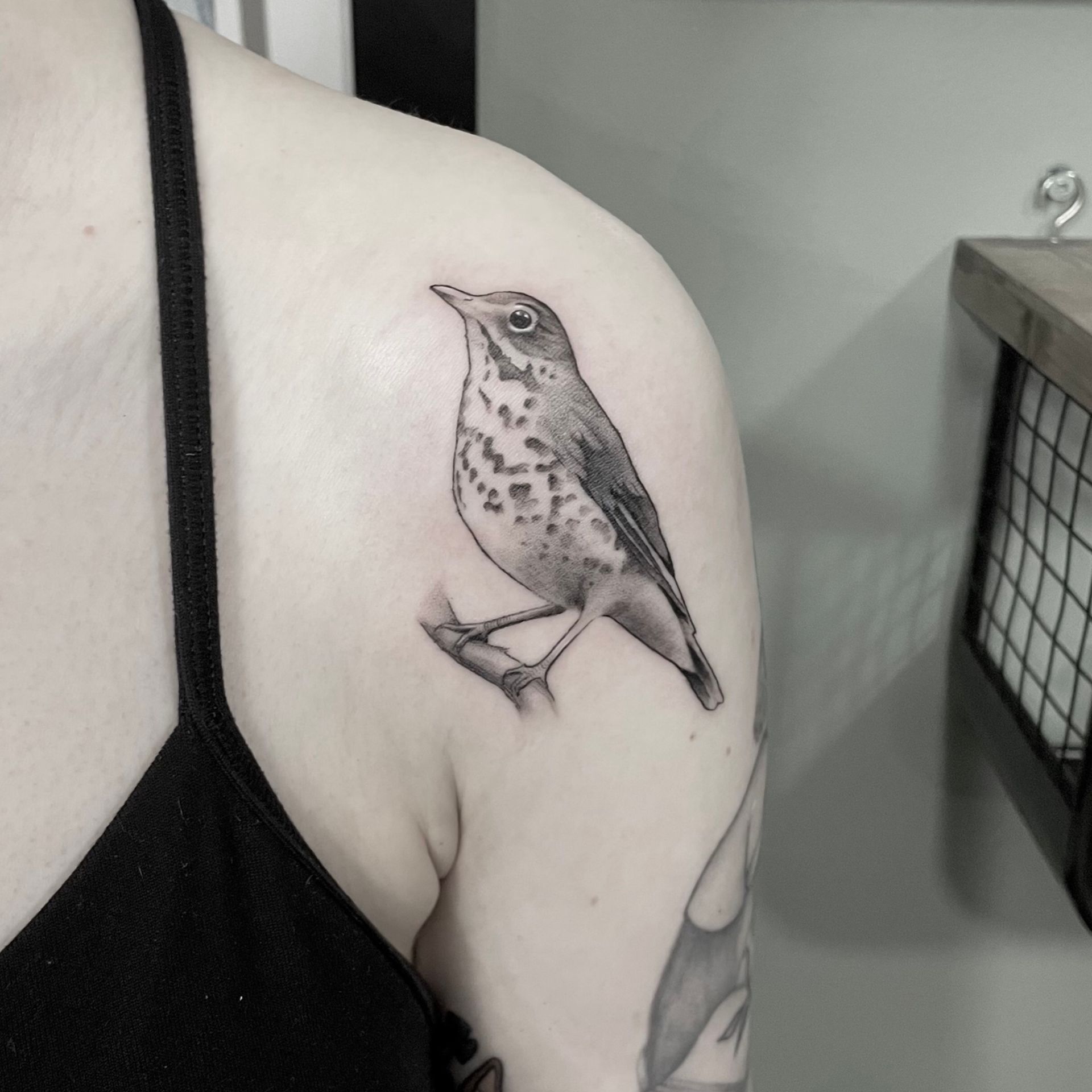 Un tatuaje en blanco y negro de un pequeño zorzal posado en una rama, situado en el hombro de una persona.