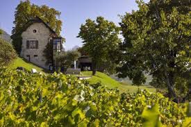Vue du restaurant Les morainieres