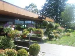 Terrasse du restaurant Le grillon