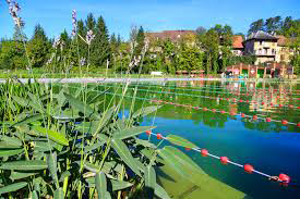 Vue du plan d'eau du restaurant Rivieralp