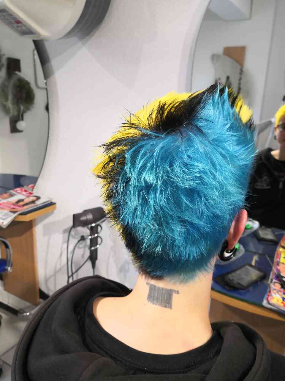 Coiffeur Rapunzel Michaela Mathieu