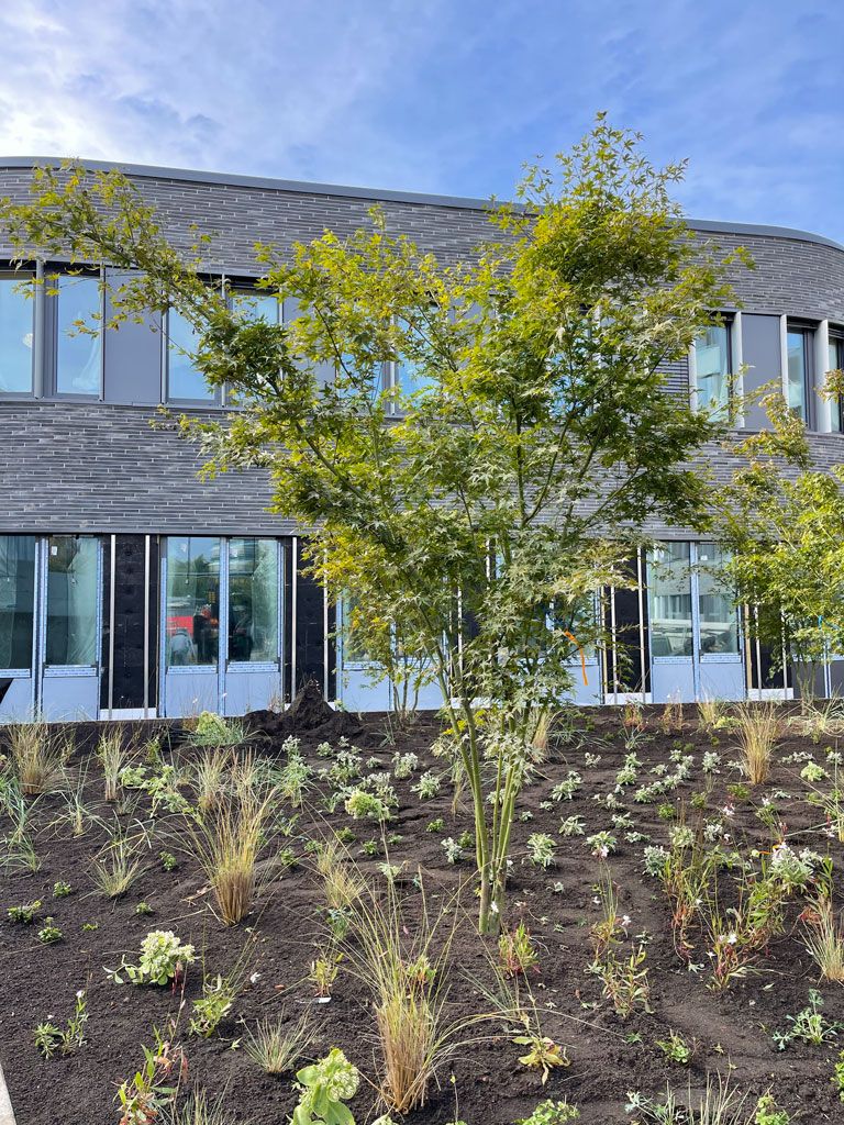 Gartenpflege
