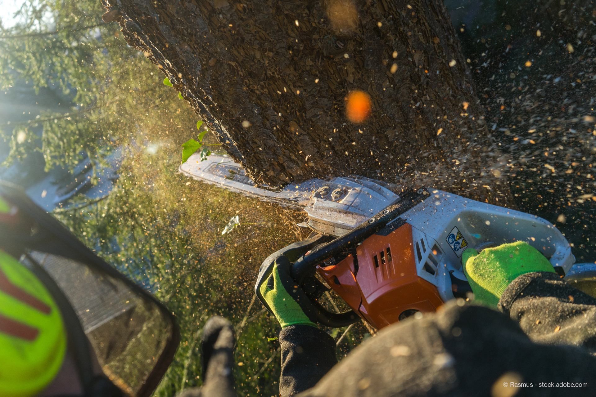 Ein Arbeiter sägt einen Baum mit einer Motorsäge an