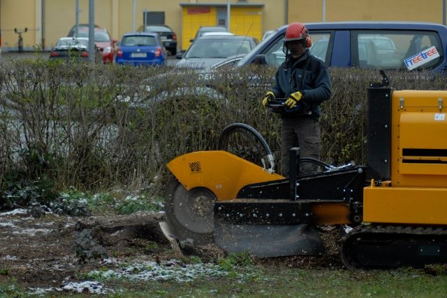 Ein Arbeiter zersägt einen Baum mit einer Maschine