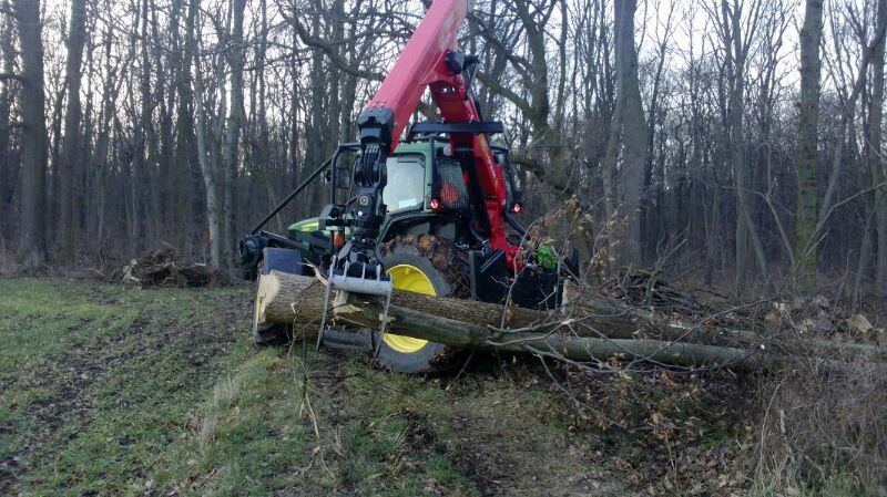 Ein Traktor mit Greifarm bewegt einen Baum