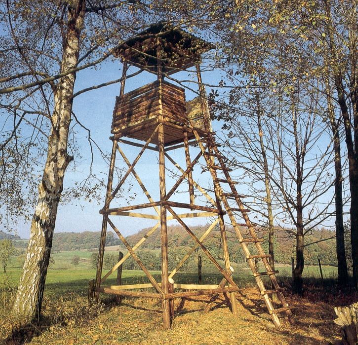 Ein Hochsitz im Wald