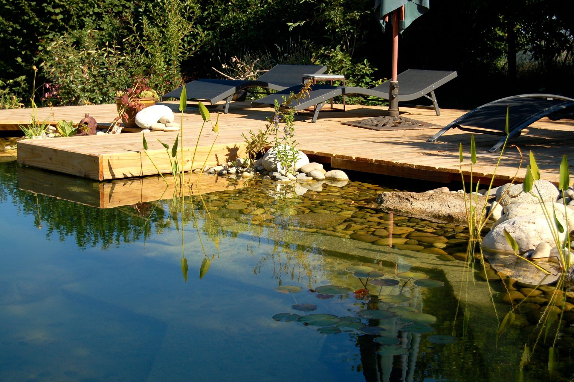 Une piscine naturelle avec une terrasse en bois