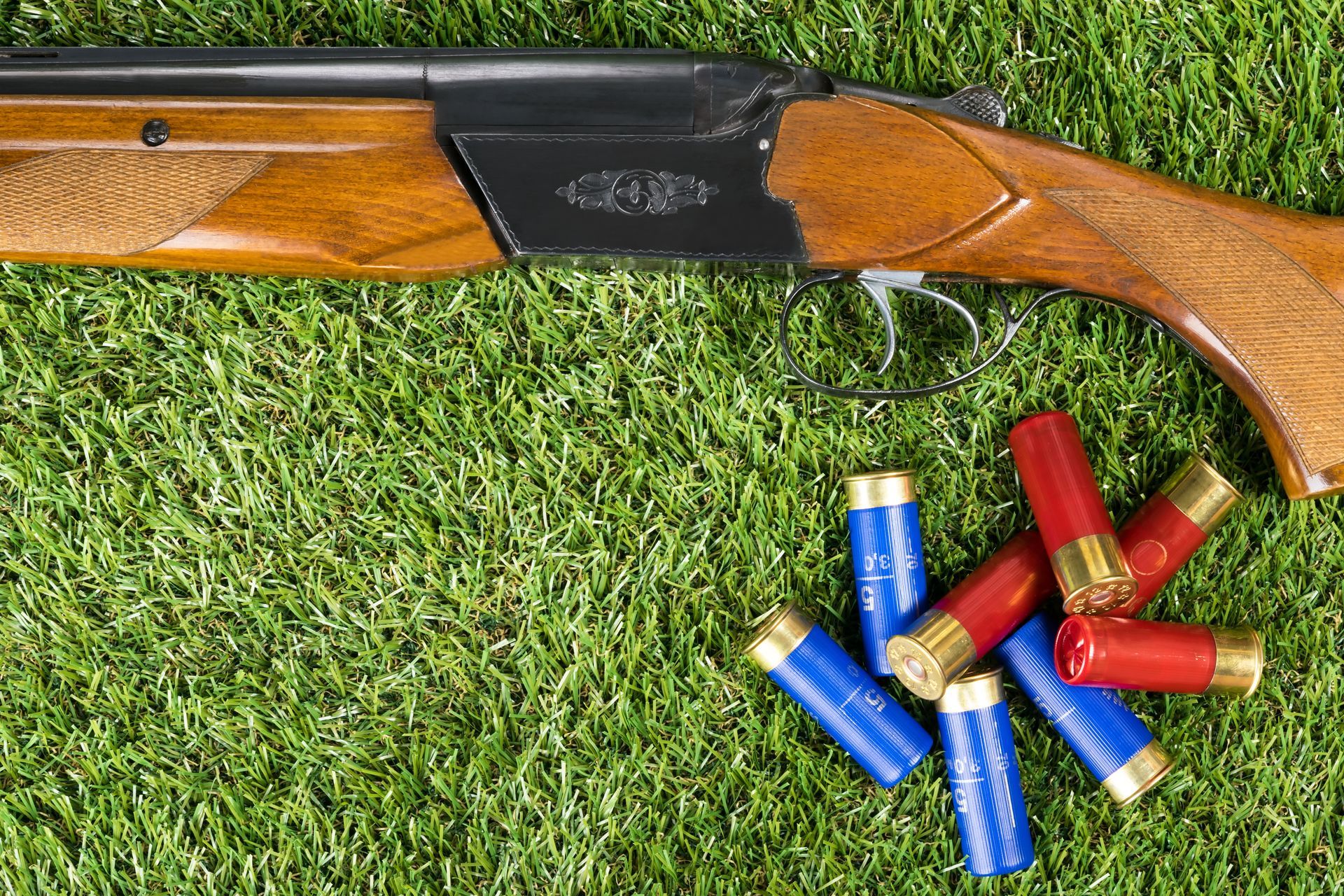 Cartouches et fusil en bois sur une pelouse