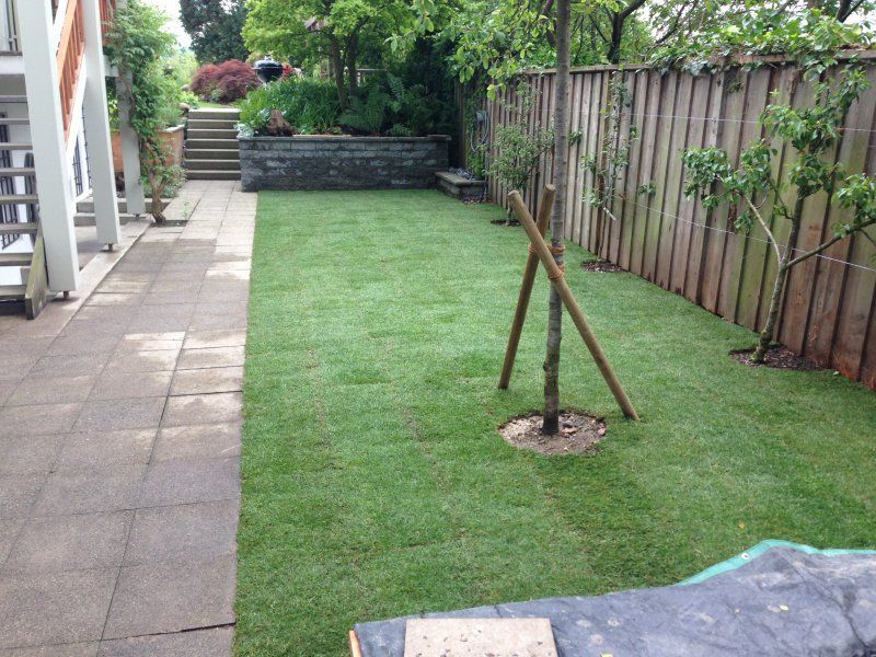 Baumfallarbeiten und Umgestaltung bei einem Gartenplatz